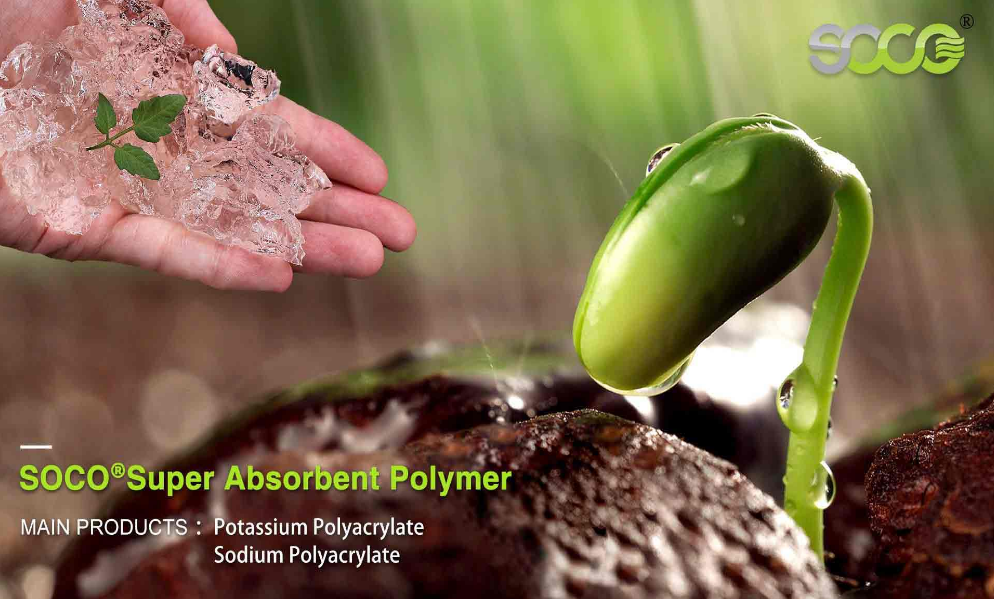 hydrogels for agriculture applications.jpg